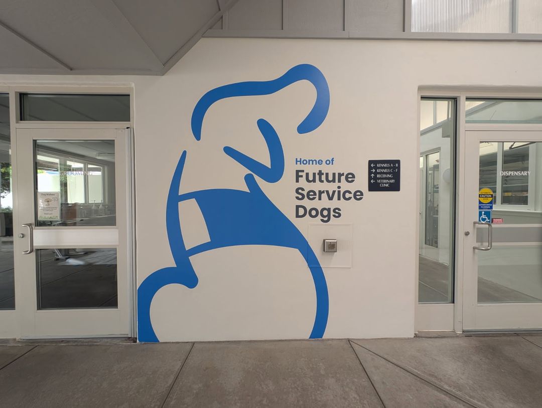 Custom dimensional letter lobby sign